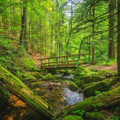 Windbergwasserfall, Dirk D�bele